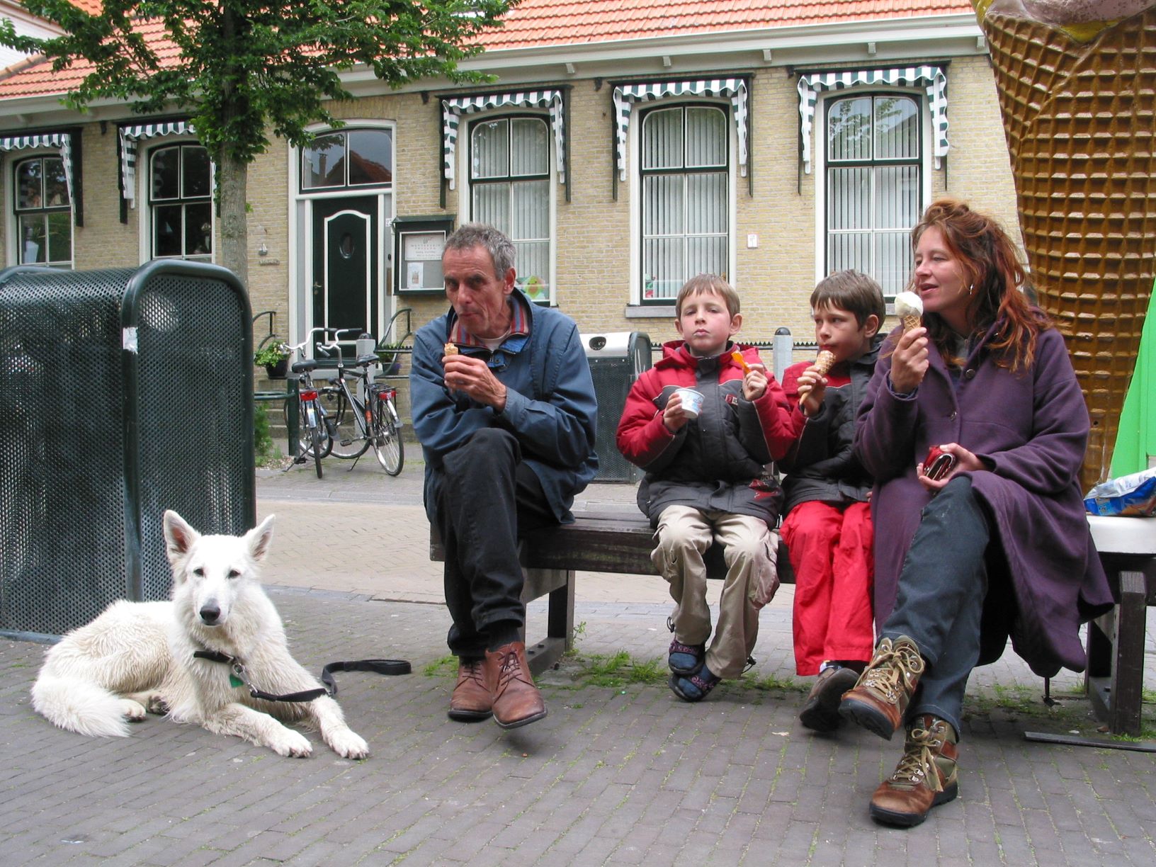 effect-hondentraining.nl hond gezellig mee